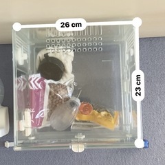 7,000円相当‼︎【ハムスター飼育セット】エサ・マット・滑車・水差し・温湿度計の画像