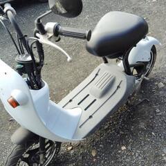 スズキチョイノリ 原付 バイクの画像
