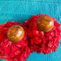 フラダンス用ウリウリの画像