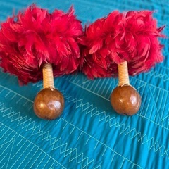 フラダンス用ウリウリの画像