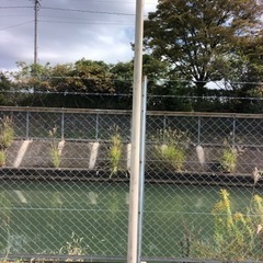 タープ用支柱の画像