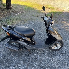 928.動画あり　AF34 ライブディオZX仕様　綺麗　原付　50cc   車体　埼玉の画像