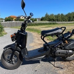 ホンダズーマー キャブ 13,180kmの画像