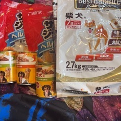 ドックフードセット　賞味期限もまだまだあります。