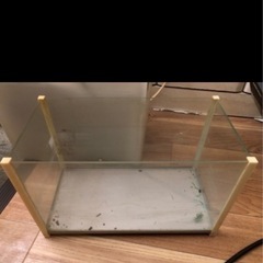 水槽の画像