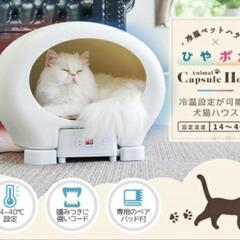 サンコー(Thanko) BR-PPH21W 冷温ヒーター付きペ...