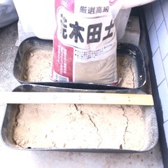 荒木田土　植木鉢　