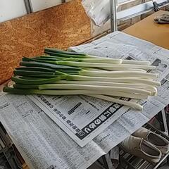 食品ロス削減‼️美味しく食べて欲しい‼️(;つД｀)捨てるなんて...