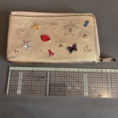 【期間限定販売12/15まで】新品未使用　ANNA SUI ゴールド刺繍ポーチの画像