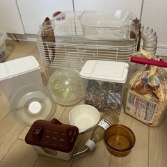 
ハムスター飼育セット