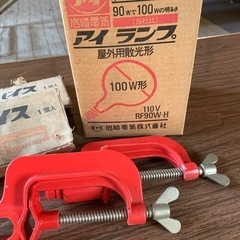 電球とバイアス