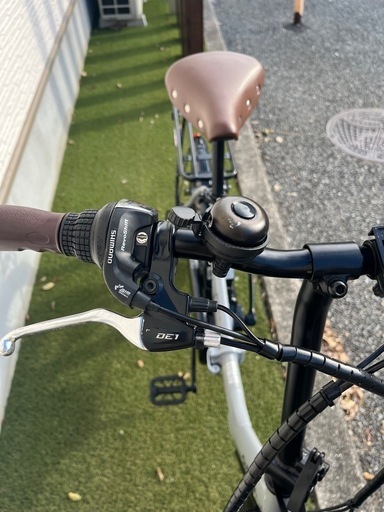 PELTECH  ペルテック　電動アシスト自転車　 20インチ　6段変速　TDN-212L