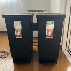 45Lゴミ箱　2個の画像