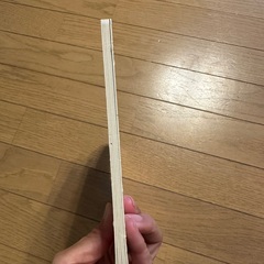 Olivia Learns to Surfの画像