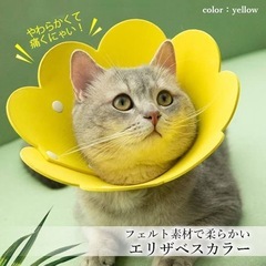 新品✨猫 犬 エリザベスカラー 手術後傷口保護  調節可能  花 (M) イエロの画像
