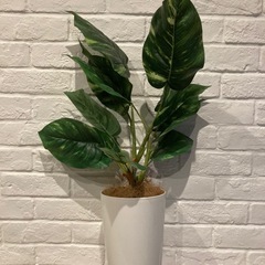 観葉植物　フェイクグリーン