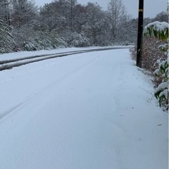 渋柿       受け取り者決まりました