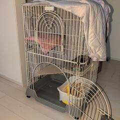 ねこさんゲージ♥テラモまでの距離なら配送します
