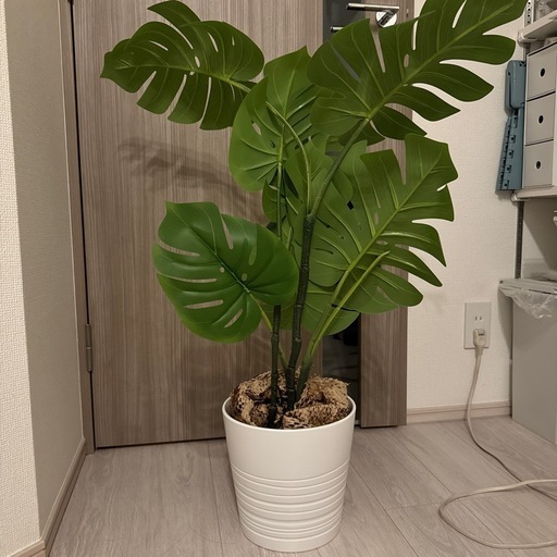 IKEA フェイカ　モンステラ