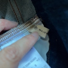 マジェスティックレゴンの画像