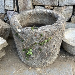 ウス　臼　石　メダカ　水性植物　和　　ガーデニング　【取りに来ていただける方限定】の画像