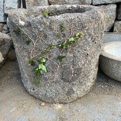 ウス　臼　石　メダカ　水性植物　和　　ガーデニング　【取りに来て...