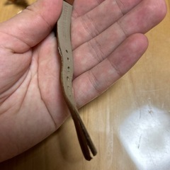 マークバイジェイコブス時計の画像