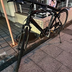 ビアンキ　カメレオンテ2 2014年製の画像