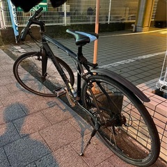 ビアンキ　カメレオンテ2 2014年製の画像