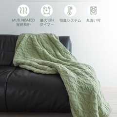新品未開封☆ネット価格¥8499 電気毛布 ひざ掛け 電気ブランケット 切タイマー 省エネ シンプル操作 電気敷毛布 電気掛け毛布 敷き 掛け 5段階温度 ポリエステル ふわふわ 丸洗い 170*130cm あったかブランケット PSE認証 ダニ退治 DRMTYGG001の画像