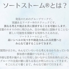⭐️新しいものの見方を楽しむ会  ソートストーム®︎✨