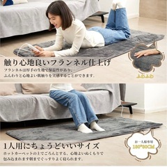 【取引完了】電気敷き毛布〜1人用ホットカーペットとして。 180×80cm 6段階温度調節&タイマー機能付き 丸洗い可 の画像