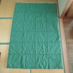 コストコ ダウンタッチ 掛け布団 (緑)