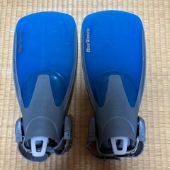 フィン
