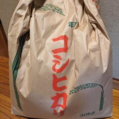 コシヒカリ　新米　17キロ　商談中
