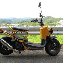 ✔再出品 写真撮り直し 高知南国 人気 ズーマーFI AF58ー...