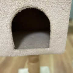キャットタワー　、UFO付き
の画像