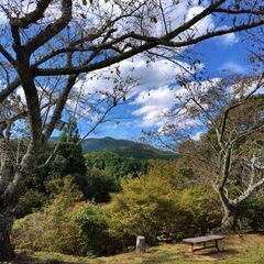 12/8(日)交野山でのんびりとハイキング😊🍃