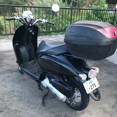 大幅値下げ■■ホンダ　トウデイAF61の画像