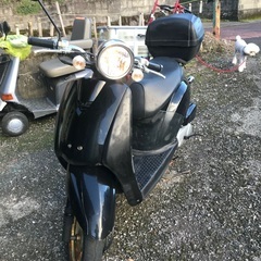大幅値下げ■■ホンダ　トウデイAF61