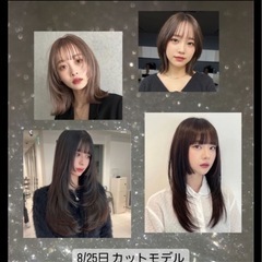 カットモデル募集 