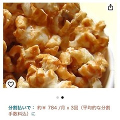【無料ポップコーン付】⚠️1キャラメルポップコーンシュガー　味の粉の画像