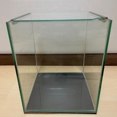 オールガラス水槽①