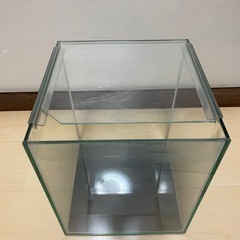 オールガラス水槽②の画像