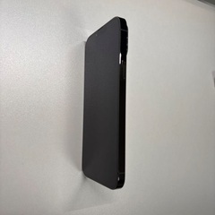 iPhone 13 Pro Maxの画像