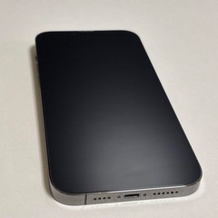 iPhone 13 Pro Maxの画像