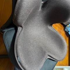Style 骨盤サポート  
の画像