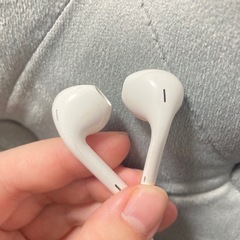 純正アップルイヤホンの画像