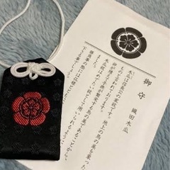 【京都を巡る会（11月）活動ツアー】2024年 − 京都府
