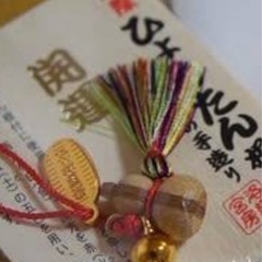 【京都を巡る会（11月）活動ツアー】2024年